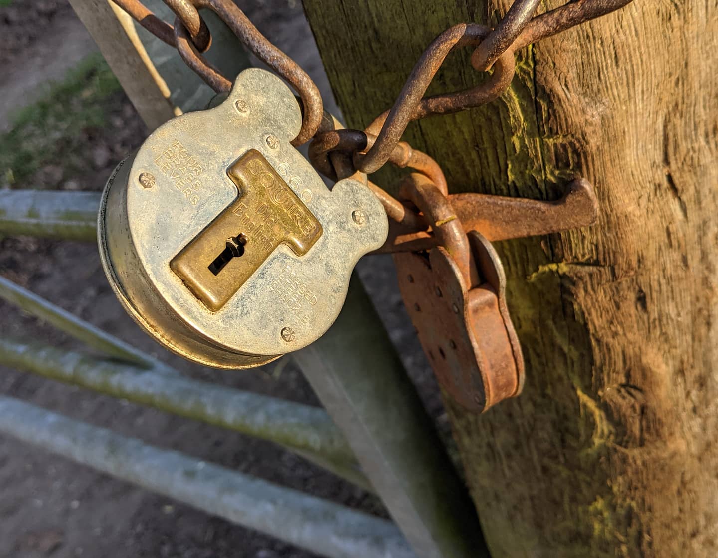 Two old English Squire lever padlocks in a 